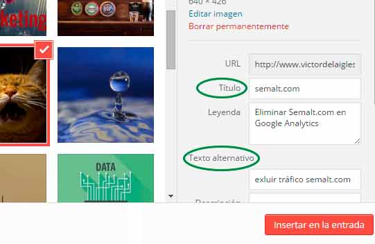 SEO y Alt y Title en Imágenes etiquetas-alt-y-title